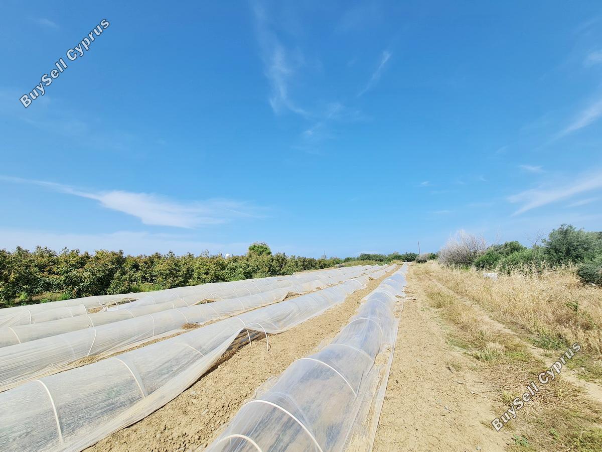 plot for sale gialia paphos 8624836 image 15872466