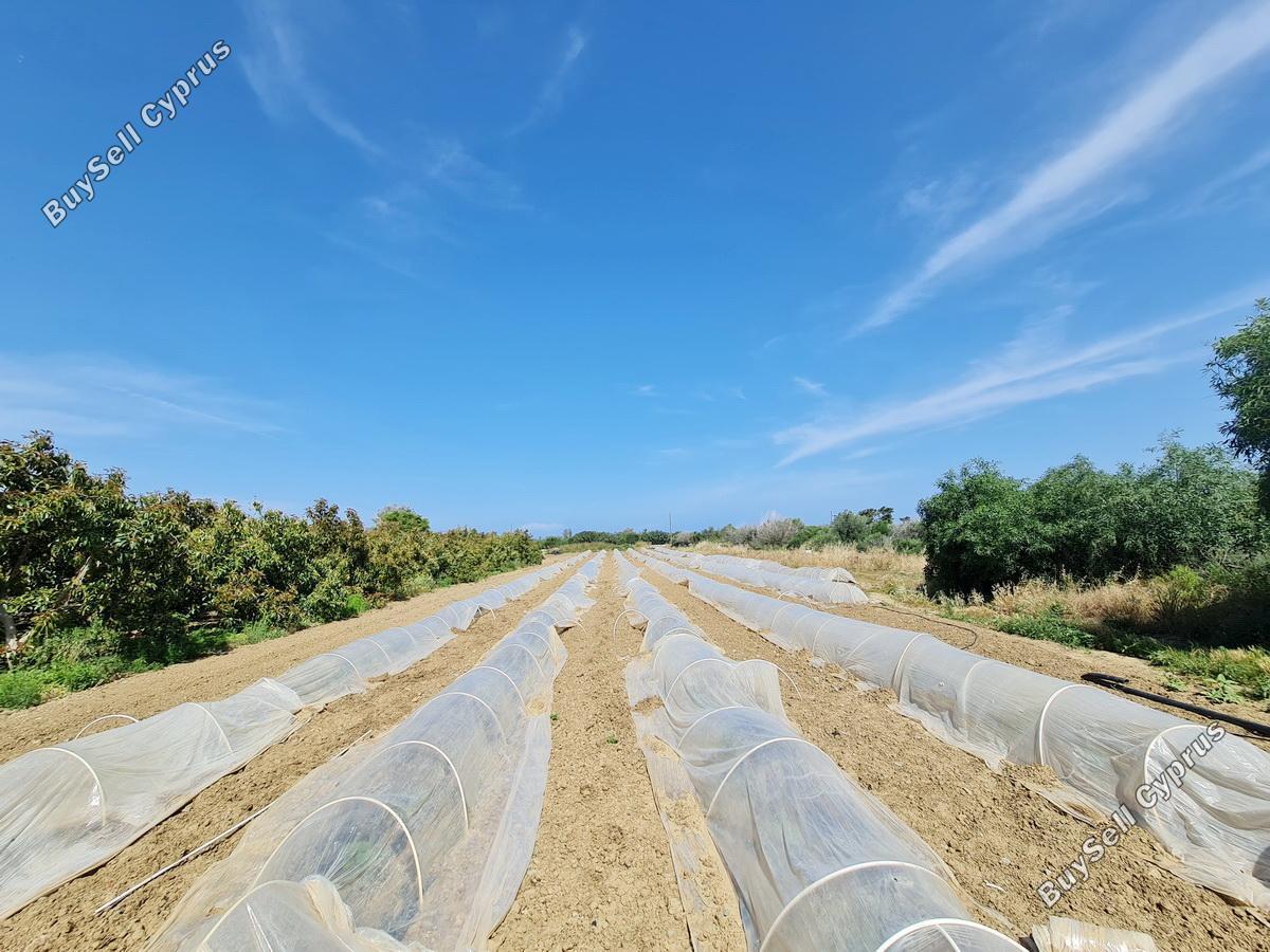 plot for sale gialia paphos 8624836 image 15872467