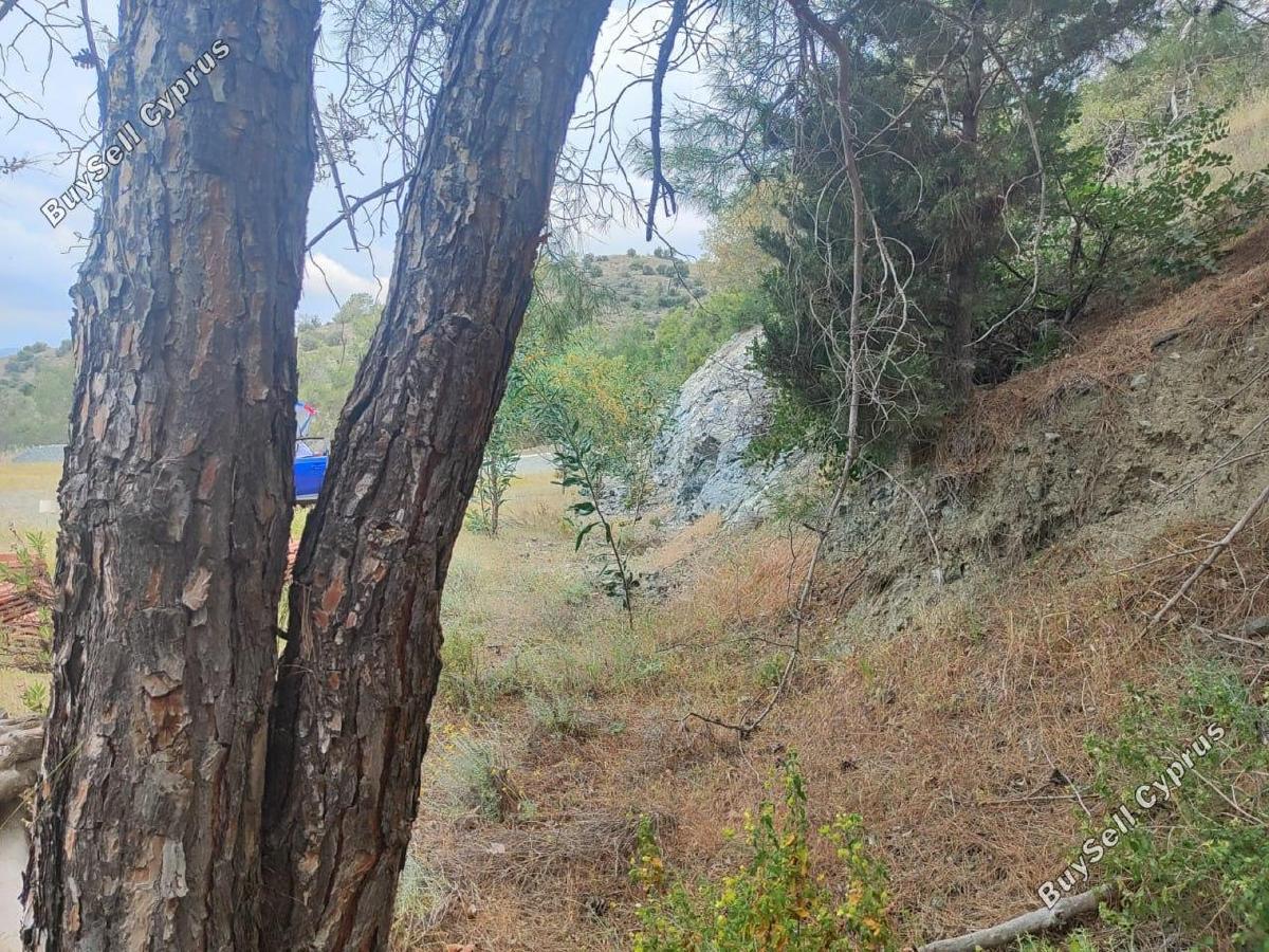 land for sale foinikaria limassol 7745936 image 14477384
