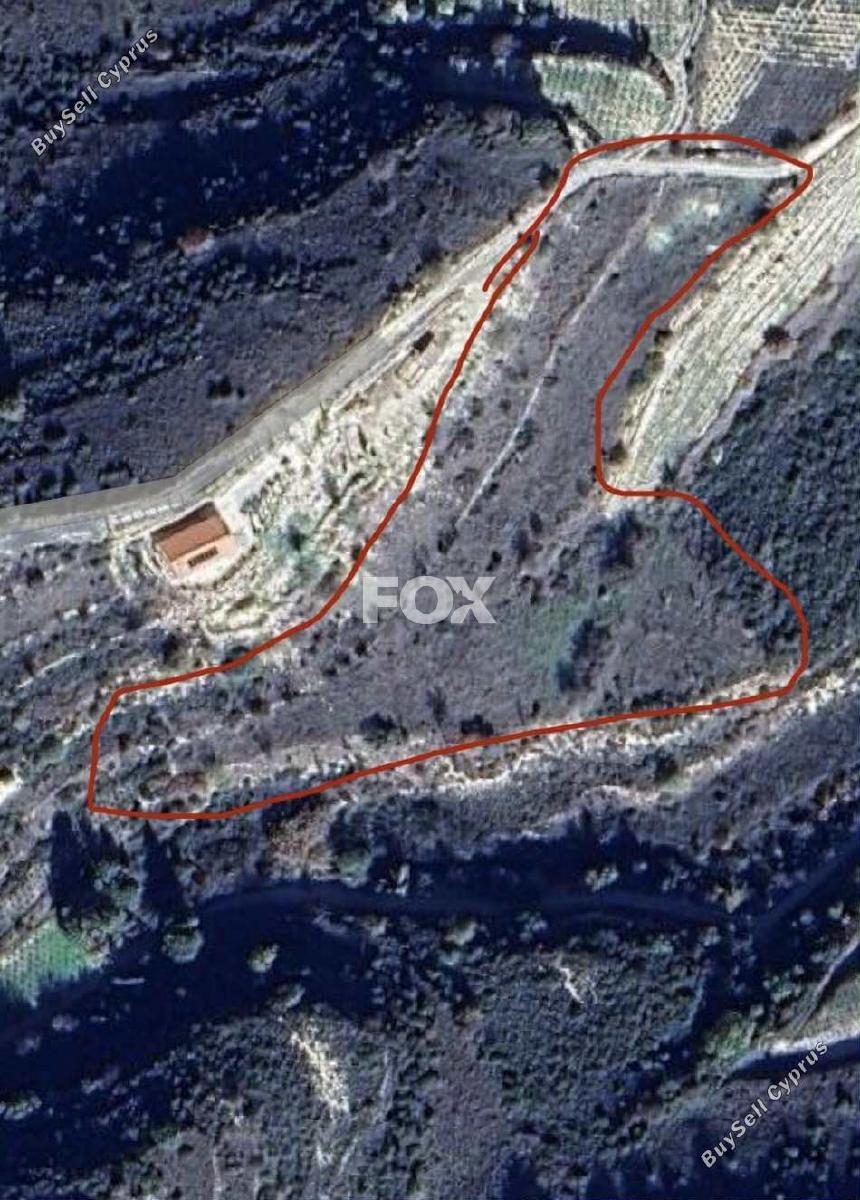 land for sale pachna limassol 7585936 image 9695511