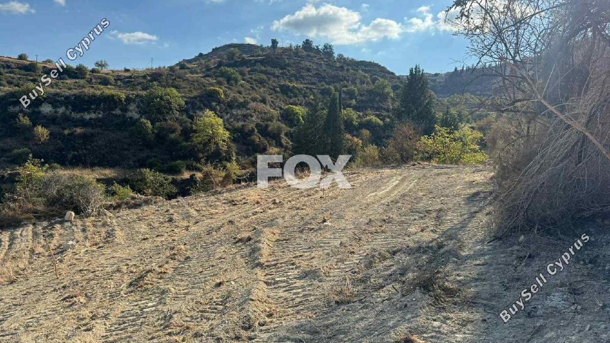 land for sale pachna limassol 7585936 image 9695514