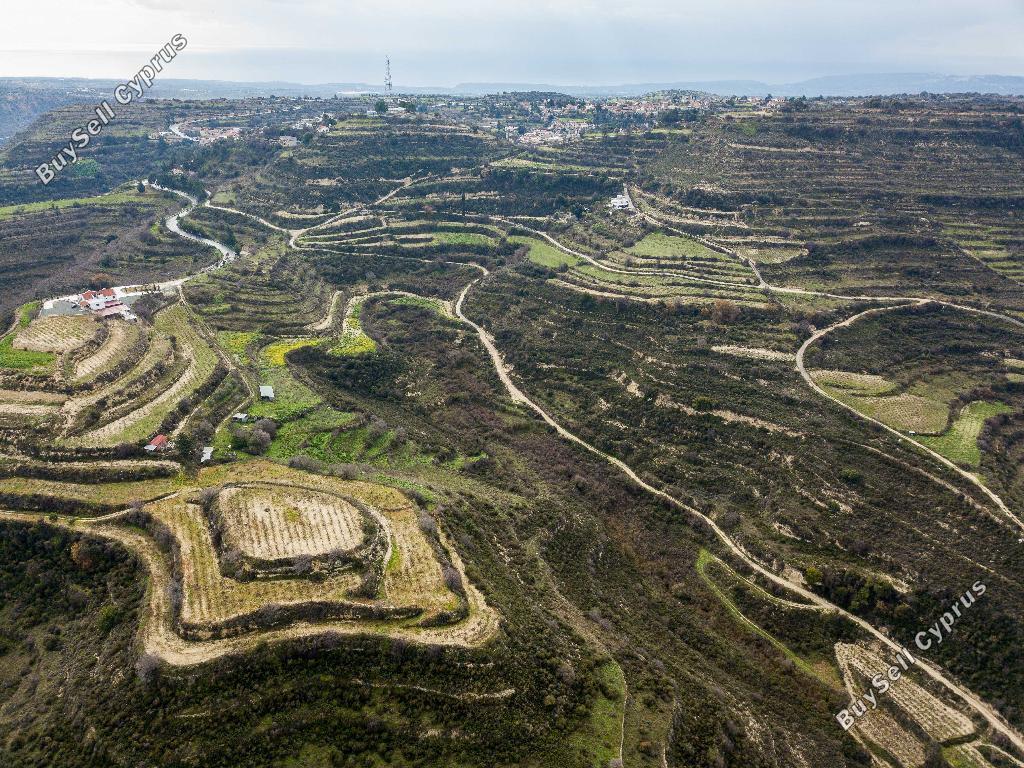 land for sale pachna limassol 945936 image 15602573