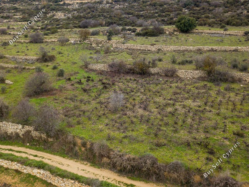 land for sale pachna limassol 848046 image 15603651