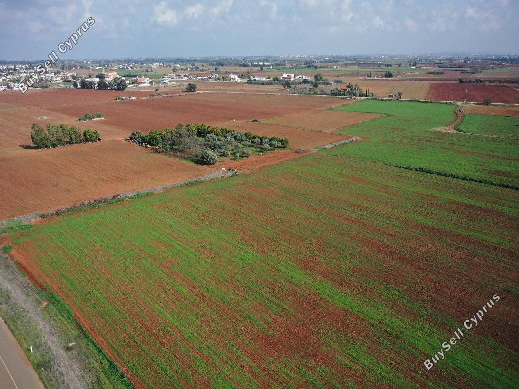 land for sale avgorou famagusta 1279146 image 10737846