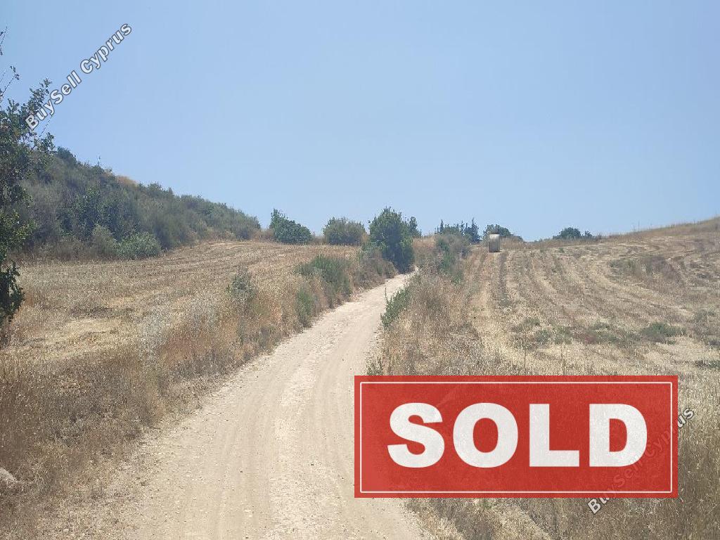 land sold choirokoitia larnaca 1286146 image 2314113