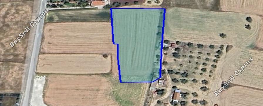 plot for sale mammari nicosia 1509146 image 16176529