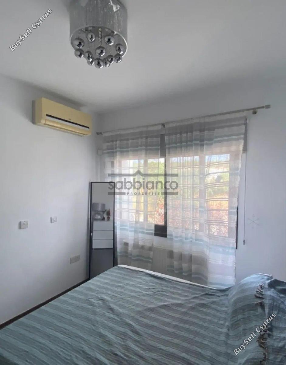 3 bedroom detached house for rent paramali limassol 8869246 image 17194859
