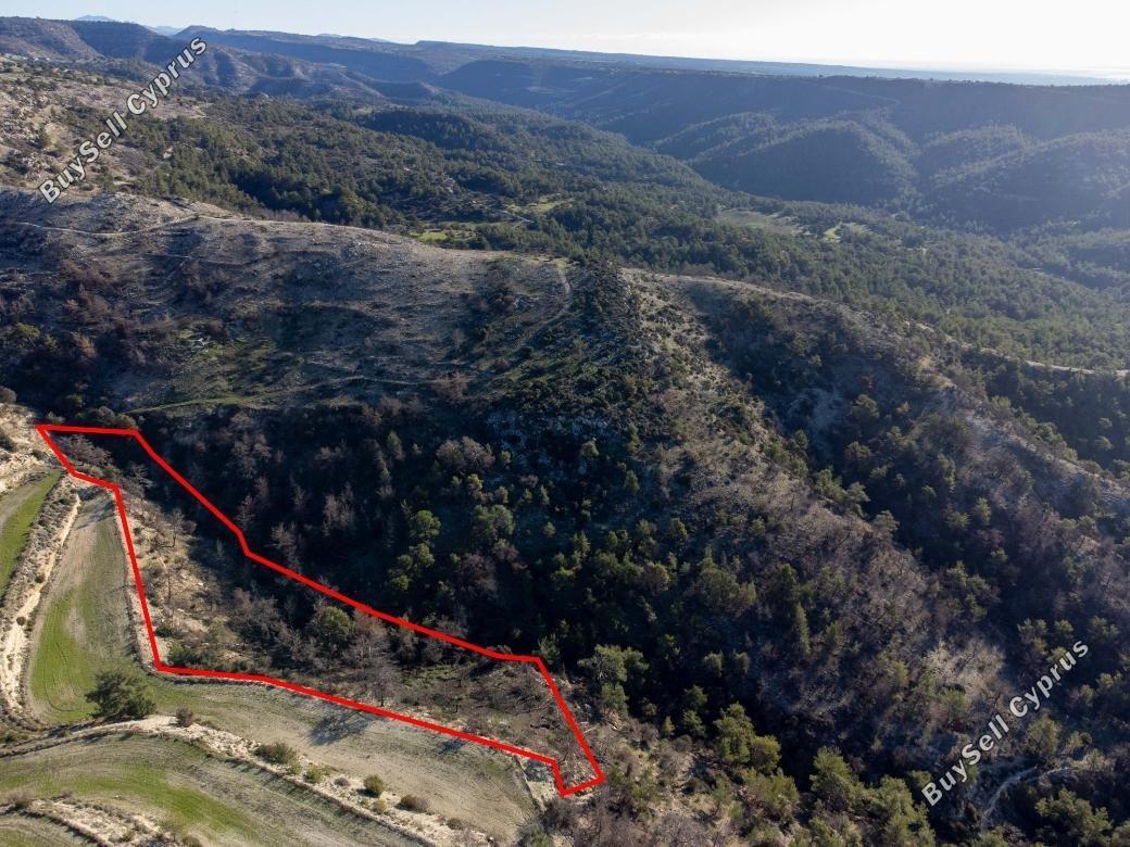 land for sale archimandrita paphos 1898246 image 7217889