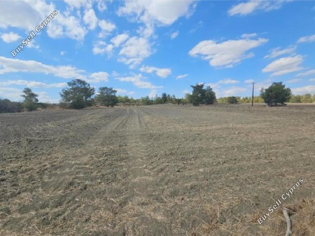 land for sale lythrodontas nicosia 7953246 image 15596653