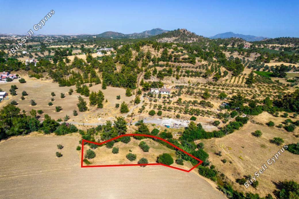 land for sale lythrodontas nicosia 8264246 image 13941147