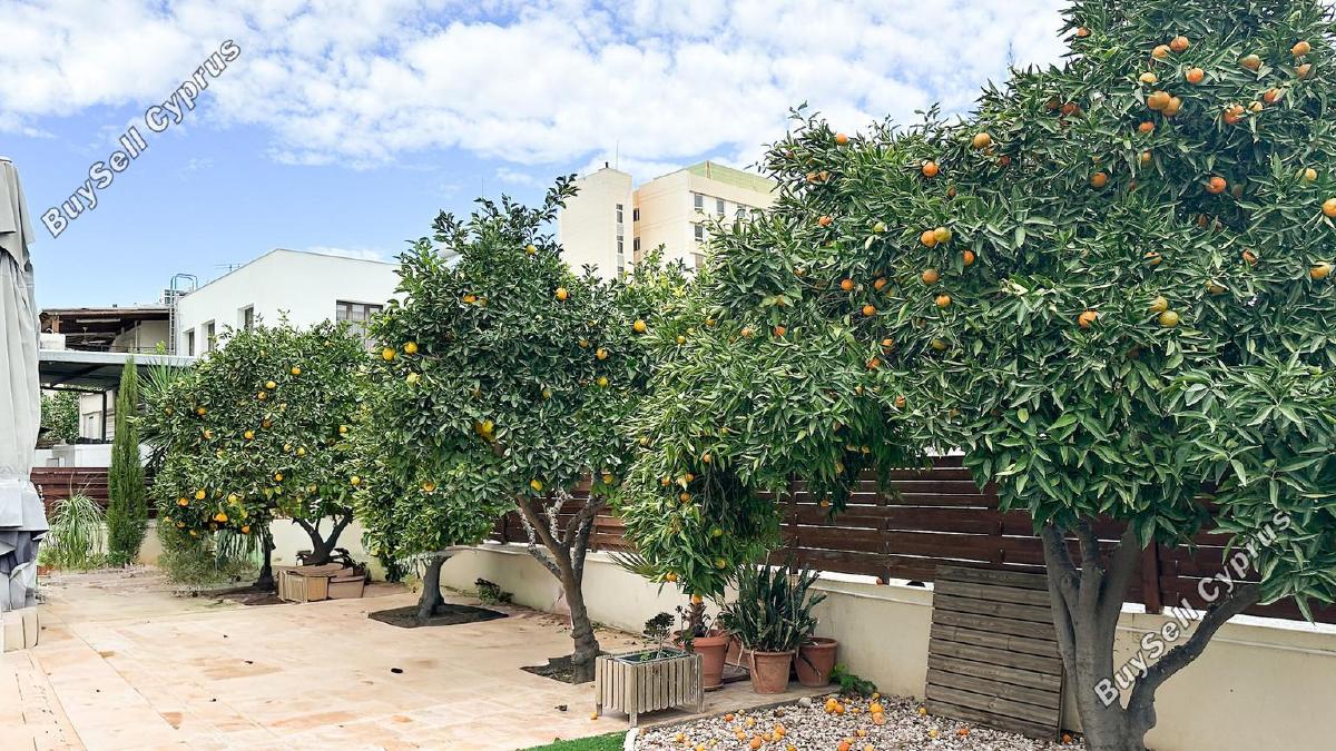 5 bedroom detached house for sale larnaca municipality larnaca 7971346 image 13783882
