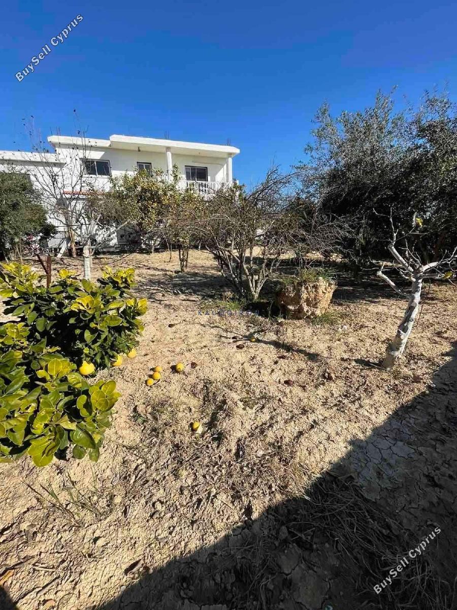 5 bedroom detached house for sale anafotida larnaca 1828546 image 6436335