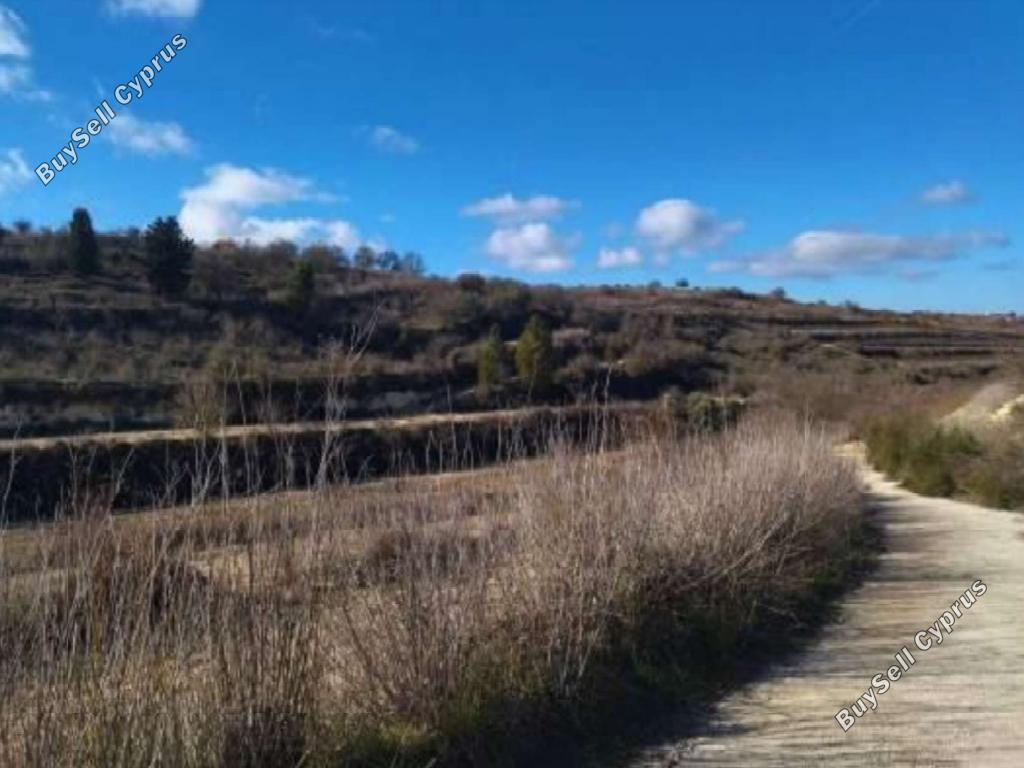 land for sale kathikas paphos 1572546 image 16700731