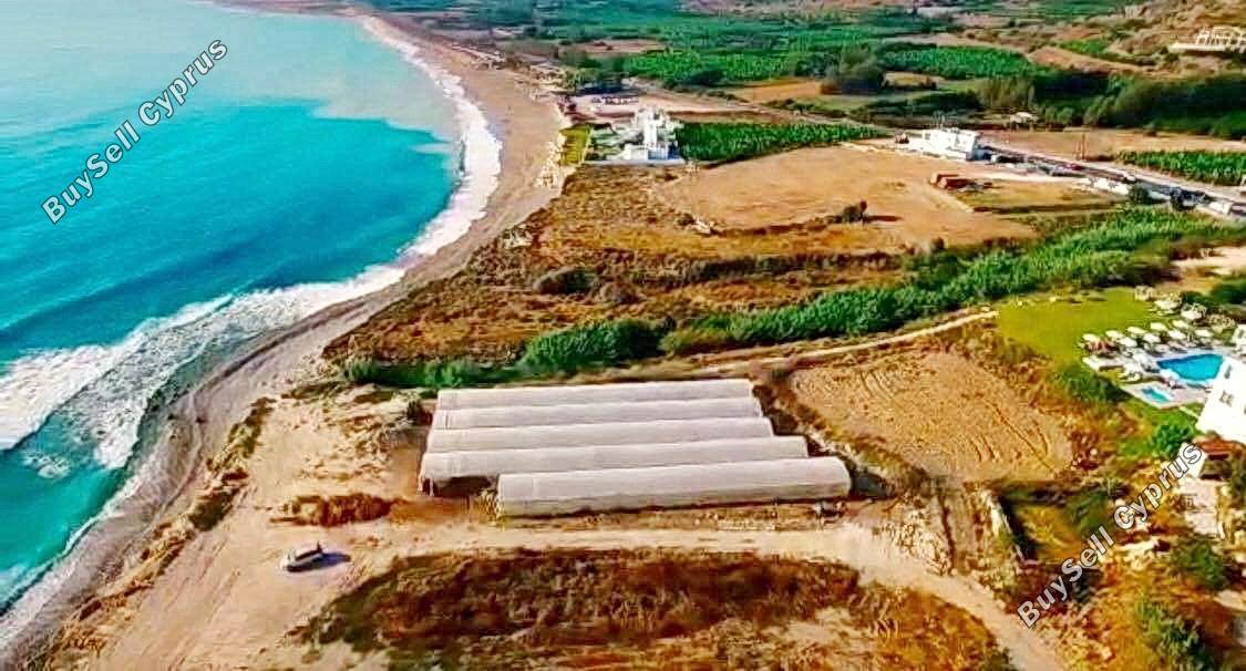 land for sale kissonerga paphos 1624546 image 4121993