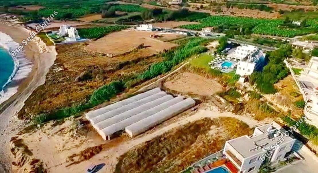land for sale kissonerga paphos 1624546 image 4122003