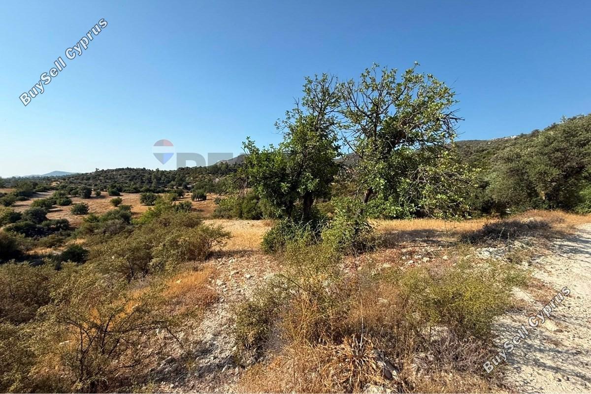 land for sale mathikoloni limassol 9009546 image 18399091