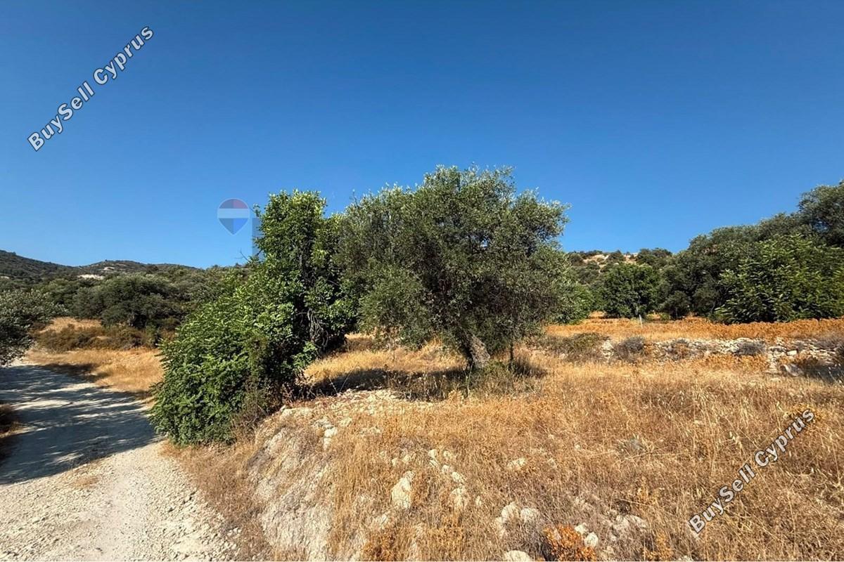 land for sale mathikoloni limassol 9009546 image 18399094