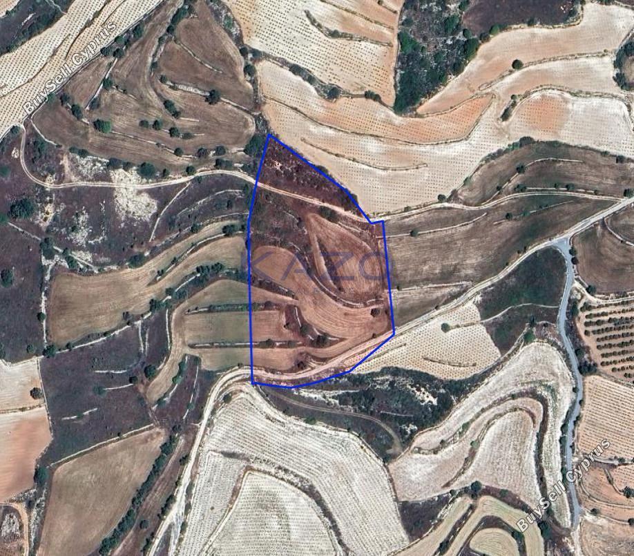 land for sale pachna limassol 8156546 image 13482516