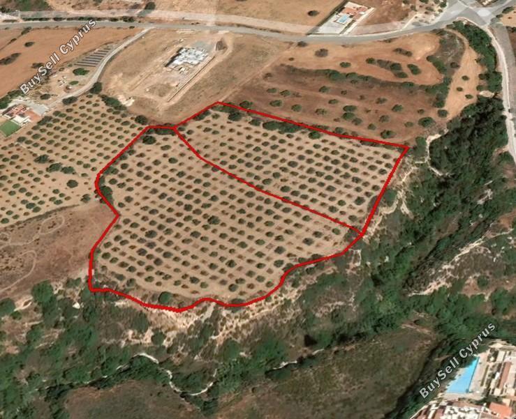 land for sale tala paphos 7738546 image 11940231