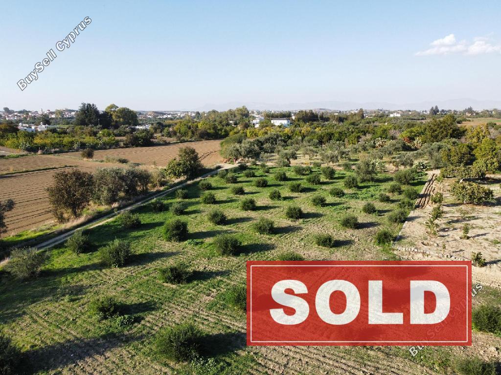 land sold pera orinis nicosia 944546 image 3002621