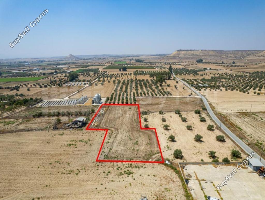 plot for sale athienou larnaca 7873546 image 11393000