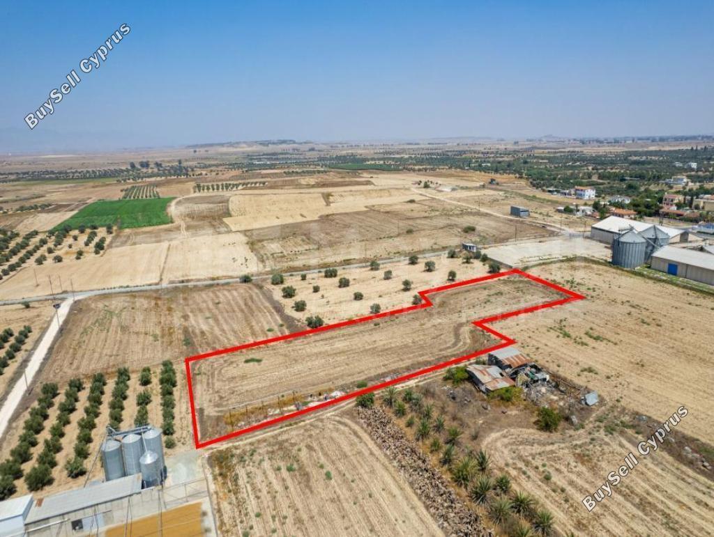 plot for sale athienou larnaca 7873546 image 11393002