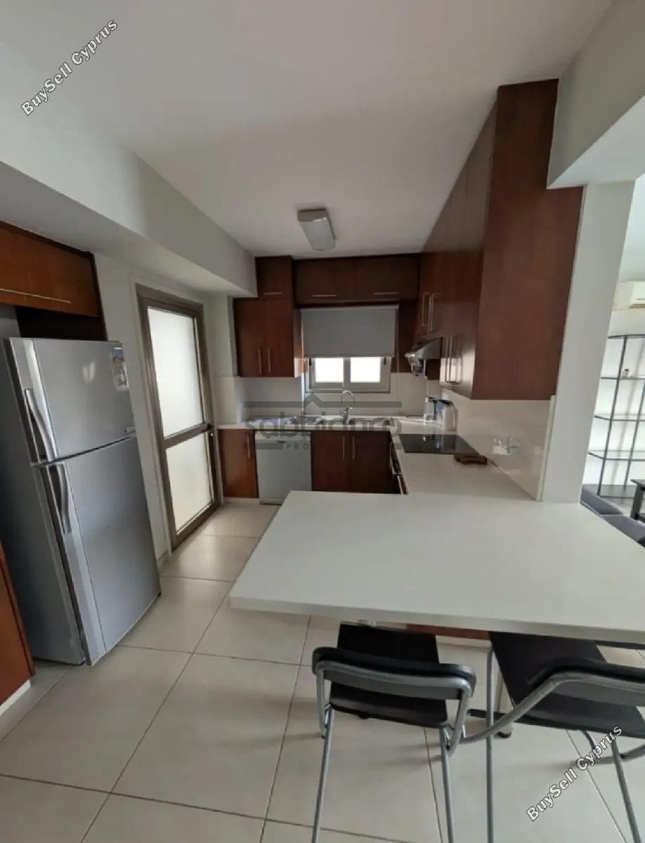 2 bedroom apartment for rent dasoupoli nicosia 8748646 image 16467267