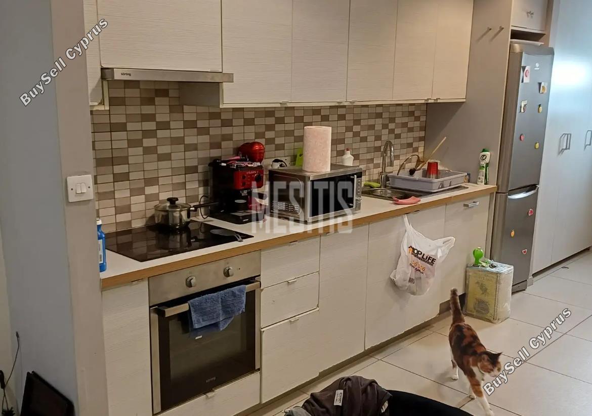 2 bedroom apartment for rent strovolos nicosia 8946646 image 17720792