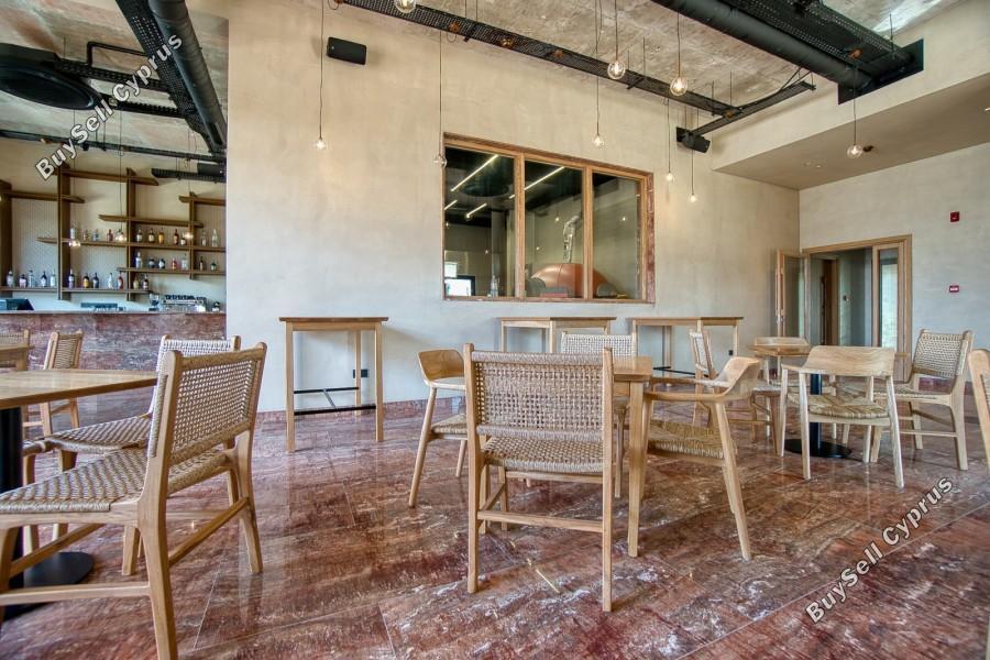 3 bedroom detached house for rent emba paphos 8791646 image 16680584