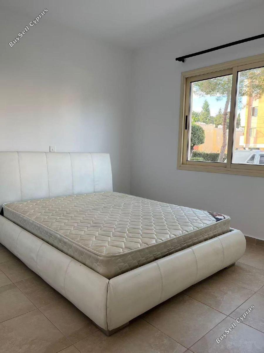 3 bedroom ground floor apartment for rent kato paphos universal paphos 8764646 image 16549482