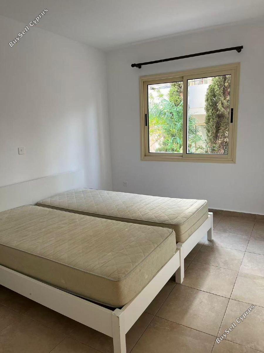 3 bedroom ground floor apartment for rent kato paphos universal paphos 8764646 image 16549487