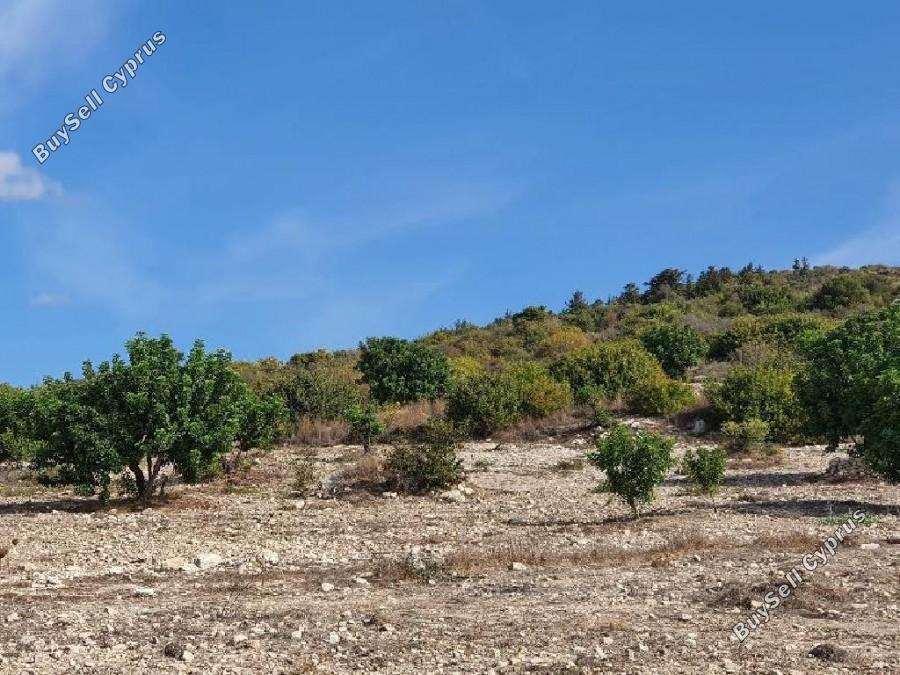 land for sale koili paphos 8630646 image 16278039