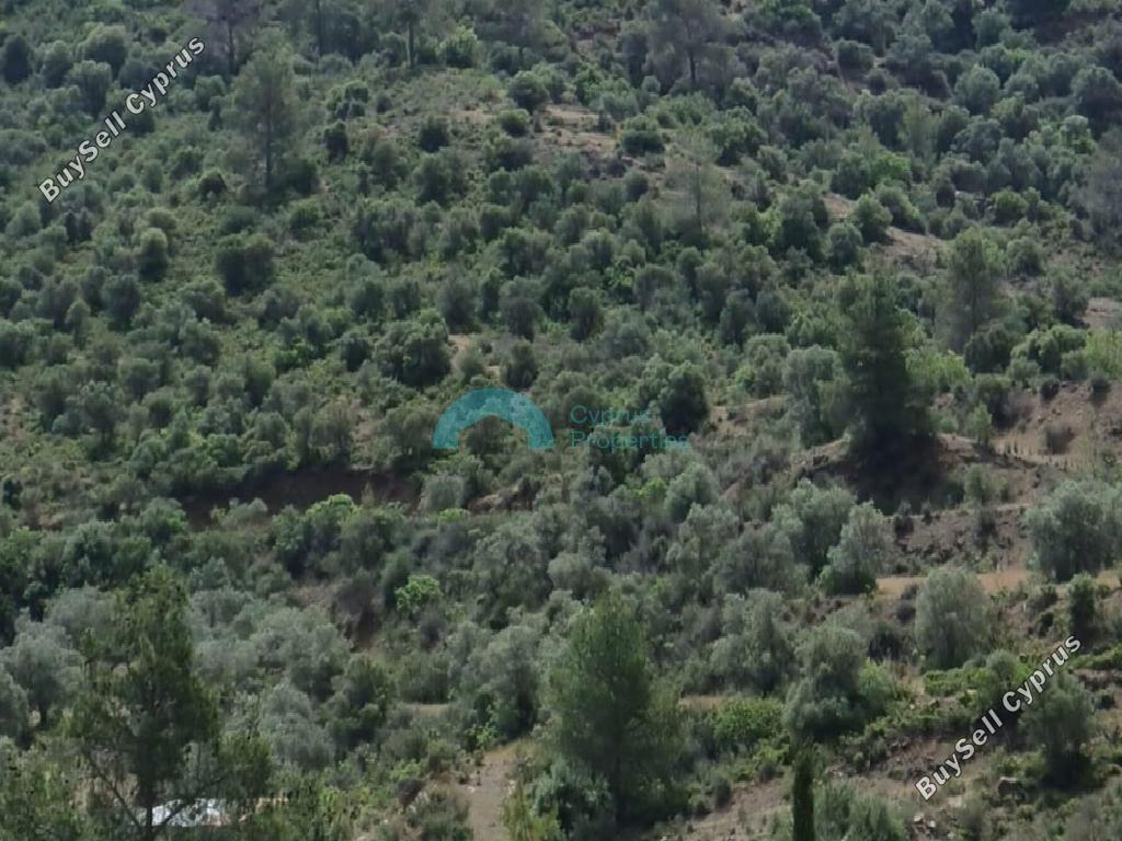 land for sale lythrodontas nicosia 1890646 image 7136745