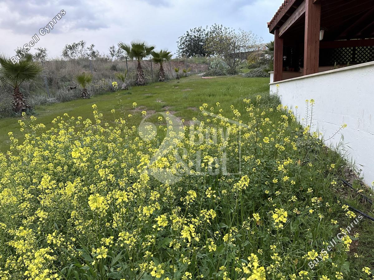 3 bedroom detached house for sale pyrgos limassol limassol 8325746 image 14860607