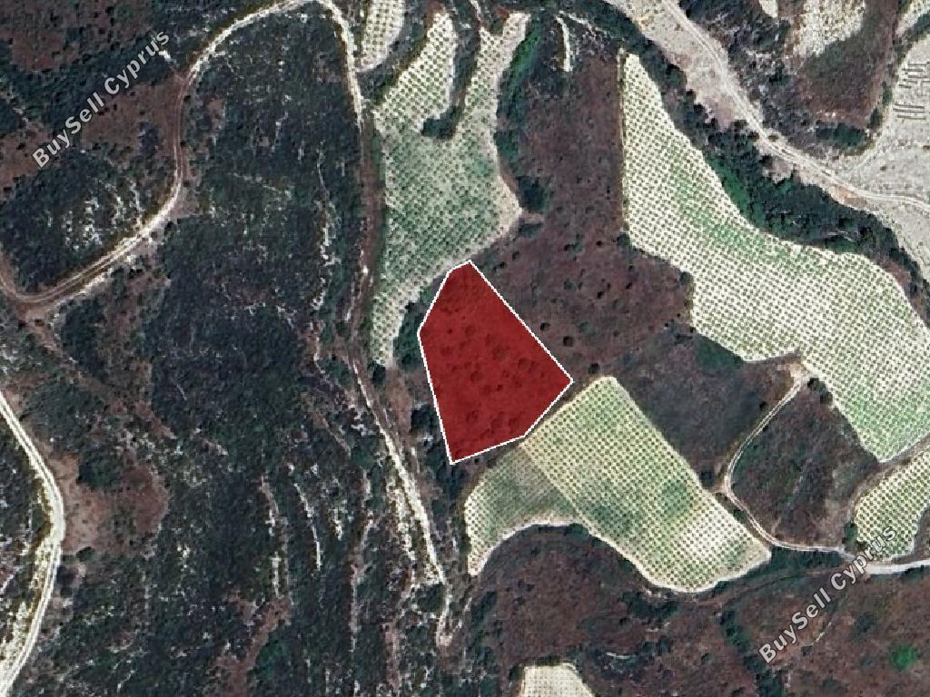 land for sale koilani limassol 962746 image 15600877