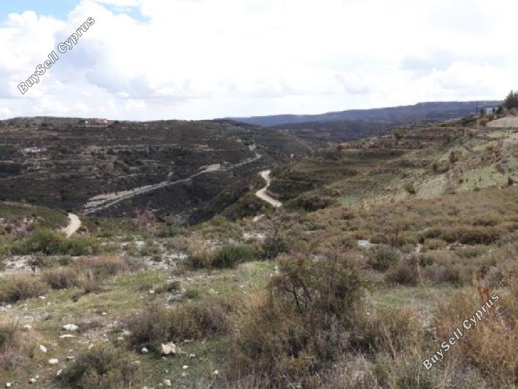 land for sale koilani limassol 962746 image 15600878