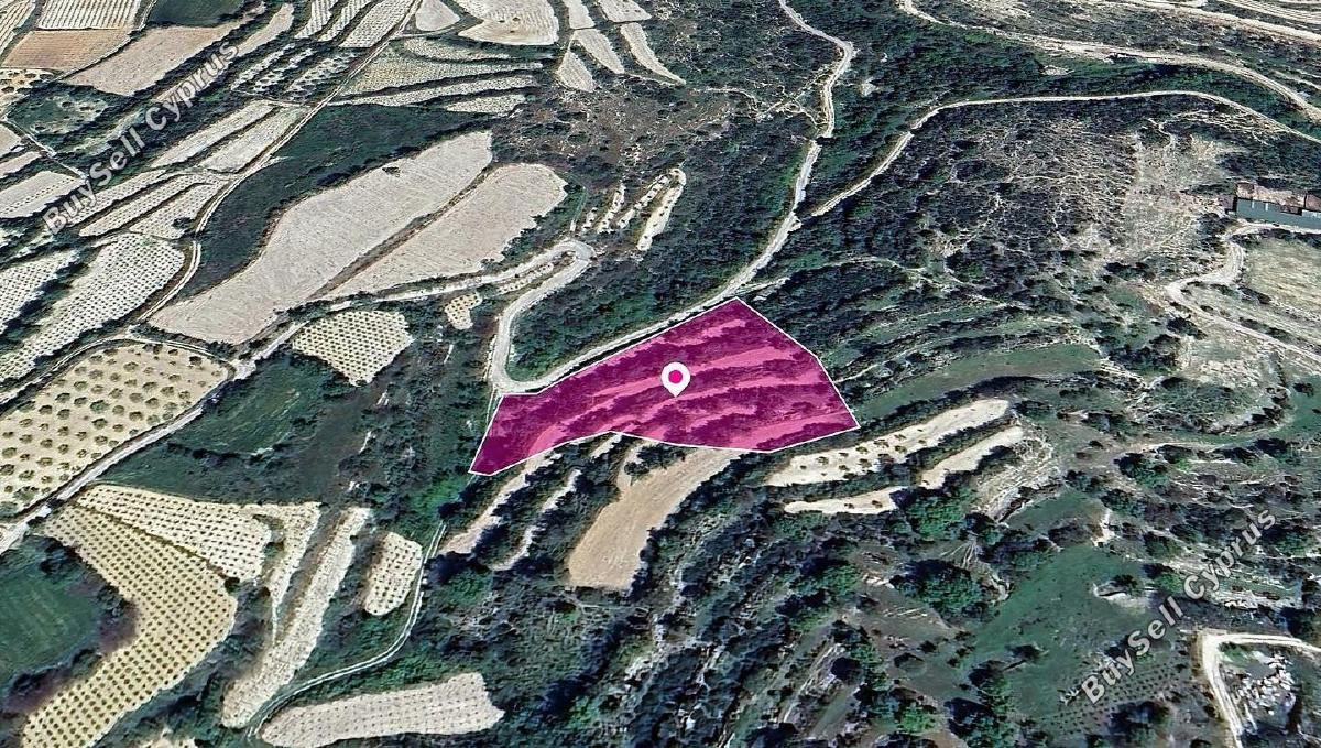 land for sale koili paphos 1897746 image 14208104
