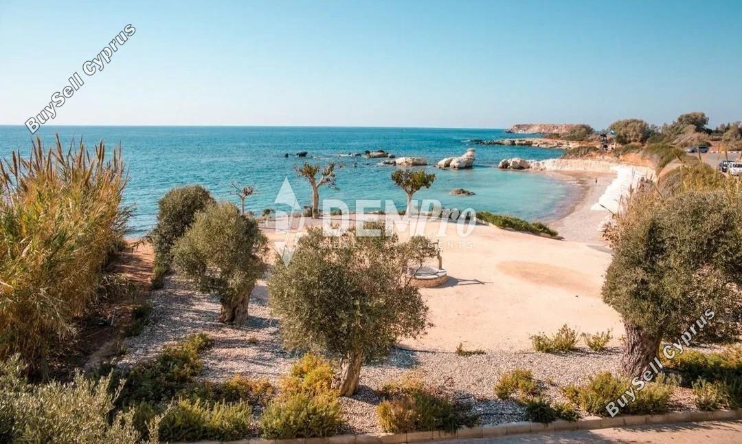 3 bedroom detached house for rent chlorakas paphos 8771846 image 16677616