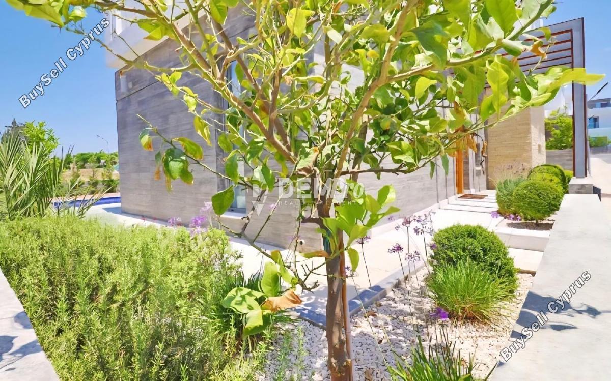 3 bedroom detached house for rent chlorakas paphos 8771846 image 16677620