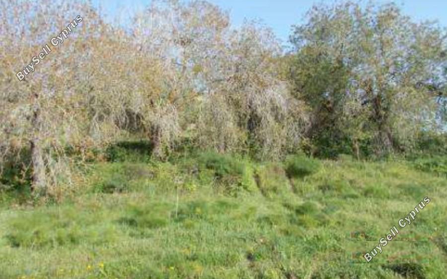 land for sale tremithousa paphos 1355846 image 15279247