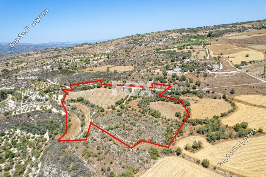 land for sale drynia paphos 8467946 image 15183670