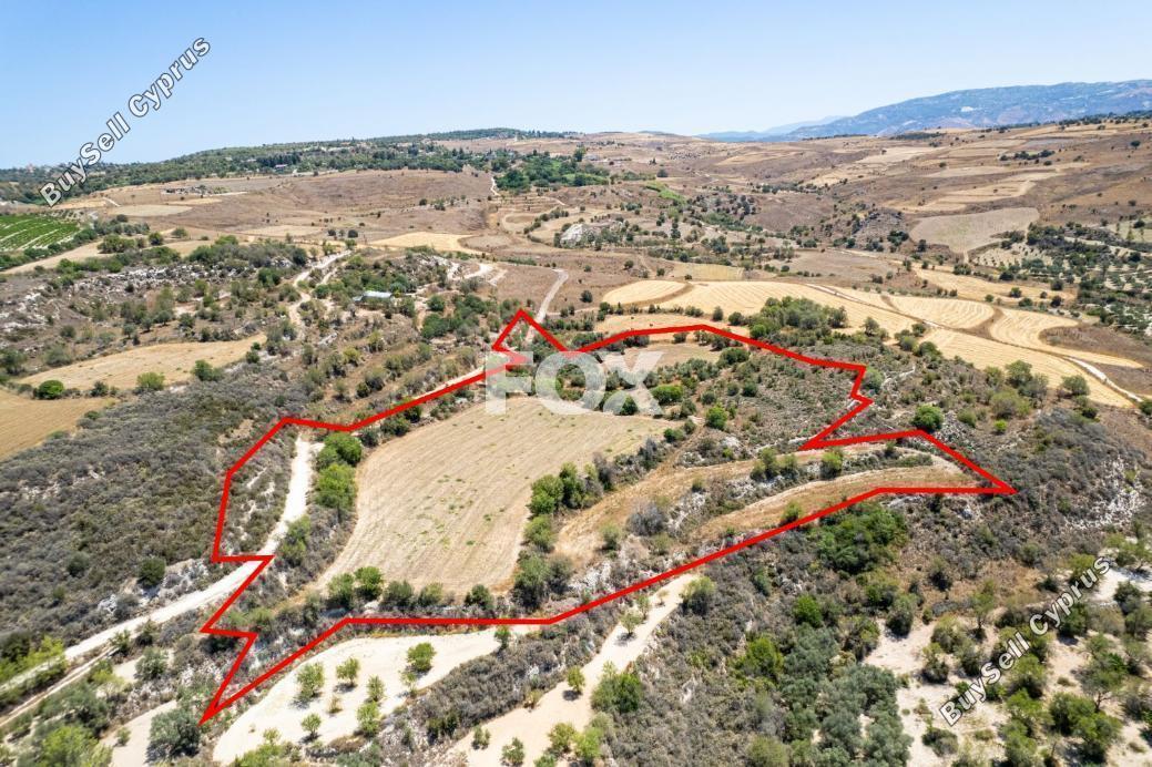 land for sale drynia paphos 8467946 image 15183671