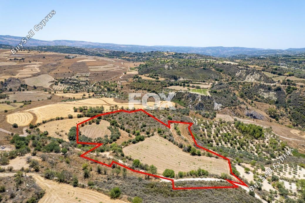 land for sale drynia paphos 8467946 image 15183672