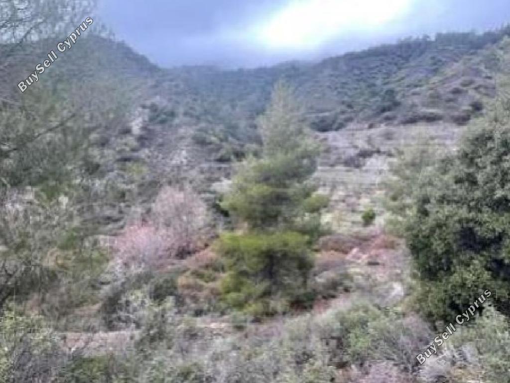 land for sale kato amiantos limassol 1081946 image 15602804