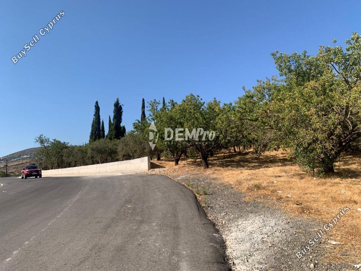 land for sale mesogi paphos 7812946 image 12701242