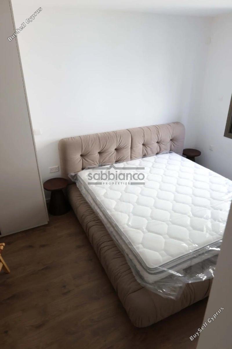 2 bedroom apartment for rent agios dometios nicosia 8749056 image 16471317