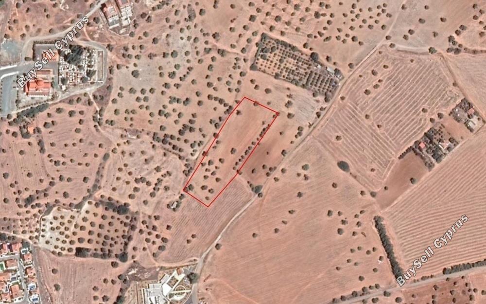 plot for sale mazotos larnaca 1681056 image 9473465