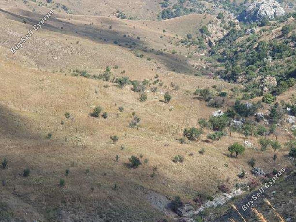 land for sale kilinia paphos 1648156 image 15598498