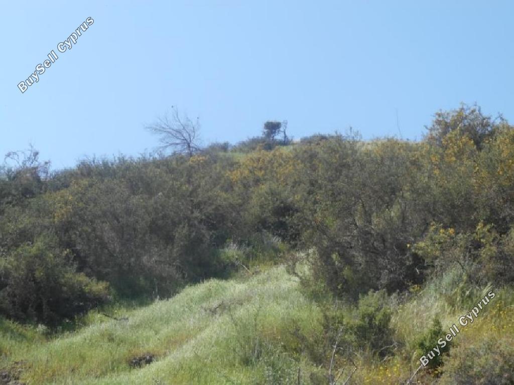 land for sale pigenia nicosia 946156 image 2993865