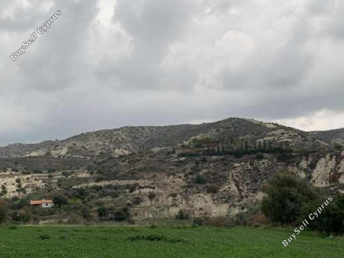 land for sale tochni larnaca 8716156 image 16294558